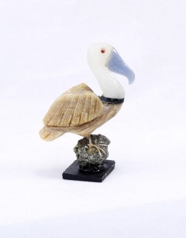 Menší ptáček - pelikán