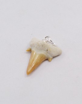 Žraločí zub - přívěsek