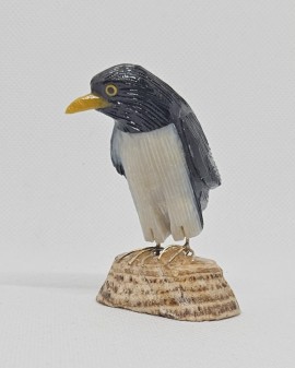 Menší ptáček - tučňák